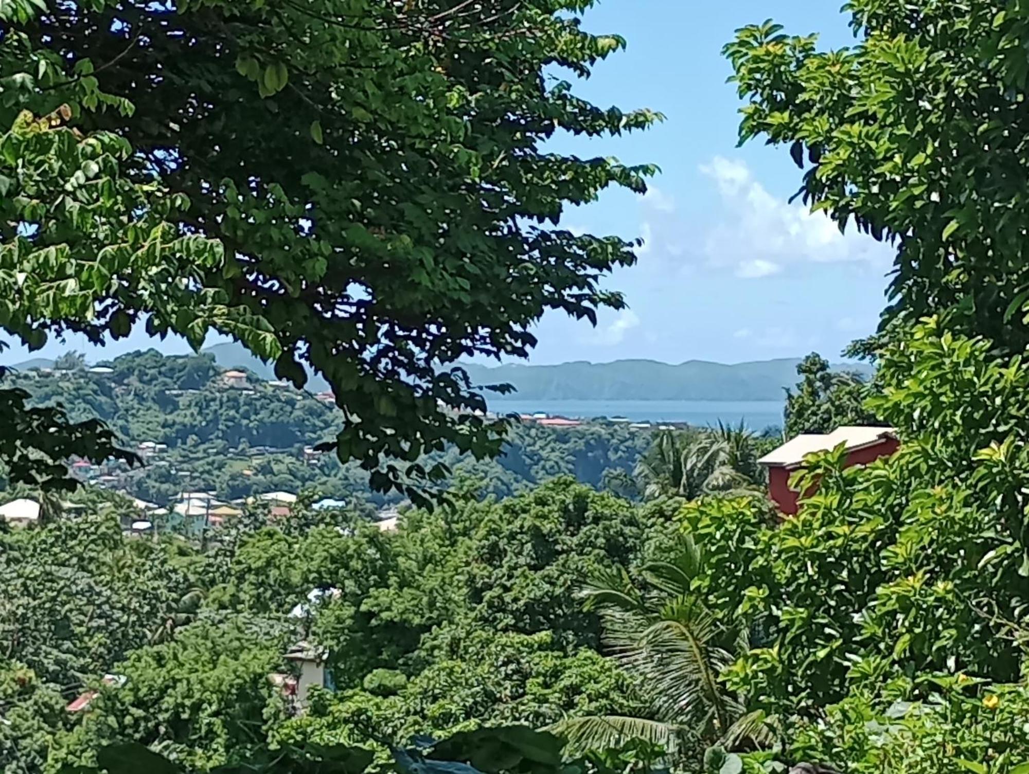 Garifuna Retreat Apartment Kingstown Eksteriør bilde